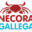 necoragallega.com