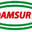 damsur.com