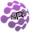 nrsinsights.com