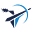 d