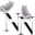 n