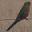 Fremont Cut favicon
