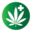 denverweed.com