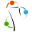 w