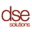 dsesolutions.co.uk