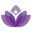 darinaivanova.com