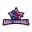 nevadaadultbaseball.com