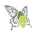 Cocoon FX Media