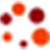 Zserver SRO